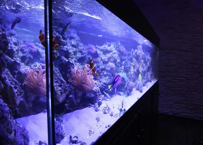 Het Wapen Van 佩尔尼斯